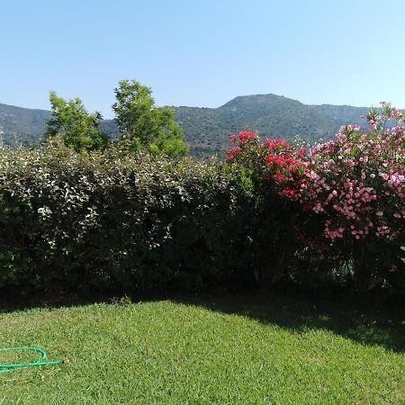 Ou Souleou Lägenhet Bormes-les-Mimosas Exteriör bild